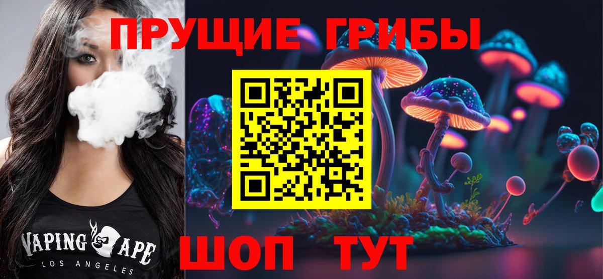 наркота  Галлюциногенные грибы Psilocybe  Вход с VPN  Зерноград 